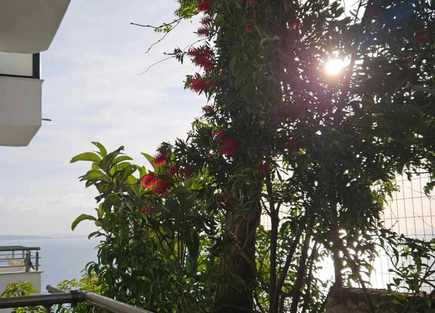 Guest house Nora'S Guesthouse Sarande Albania